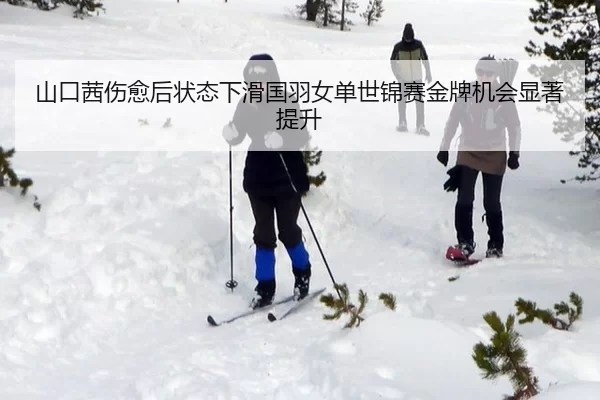 山口茜伤愈后状态下滑国羽女单世锦赛金牌机会显著提升