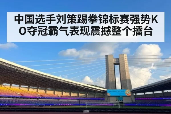中国选手刘策踢拳锦标赛强势KO夺冠霸气表现震撼整个擂台