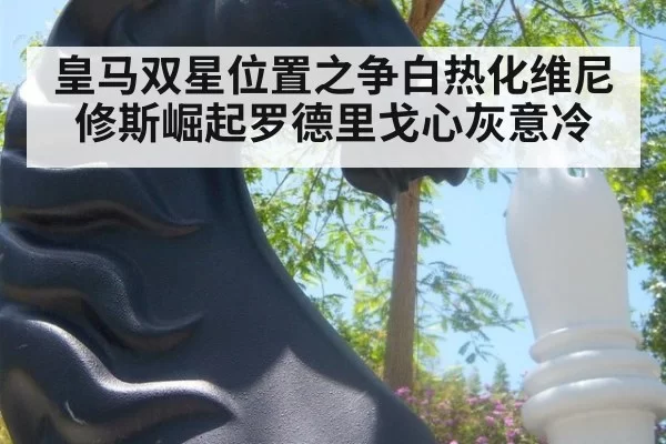 皇马双星位置之争白热化维尼修斯崛起罗德里戈心灰意冷